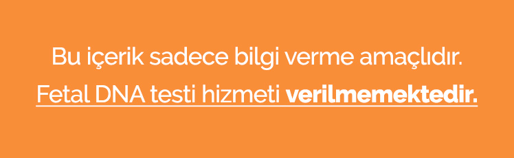 Fetal Dna Bilgi