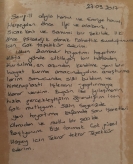 Sevgili Ayla Hanım